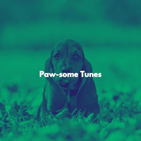 Paw-some Tunes