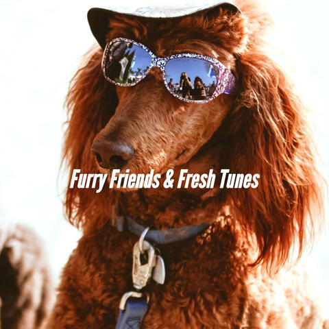 Furry Friends & Fresh Tunes
