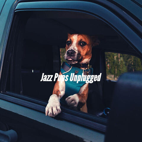 Jazz Pups Unplugged