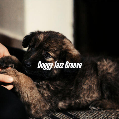 Doggy Jazz Groove