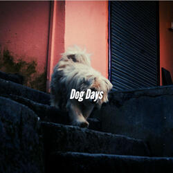 Simple Doggy Walking