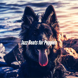 Sultry Music for Dogs Taking It Easy