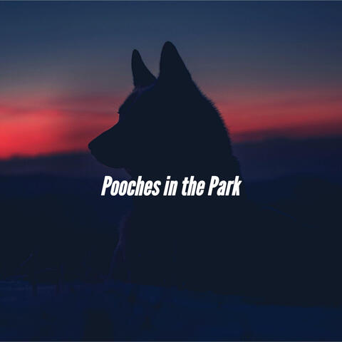 Pooches in the Park