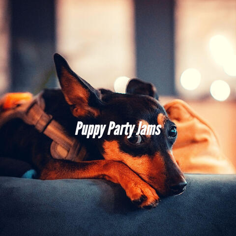 Puppy Party Jams