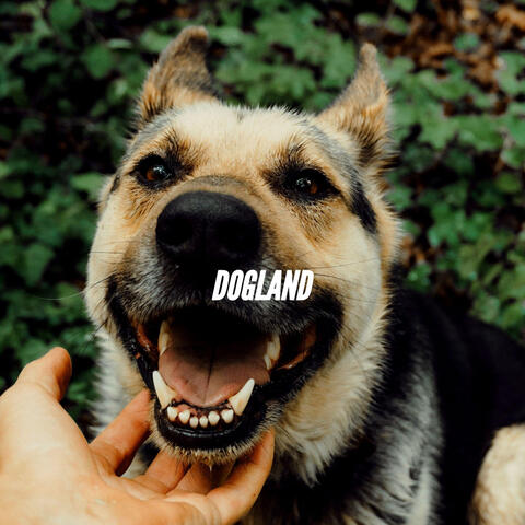 DOGLAND