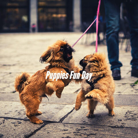 Puppies Fun Day