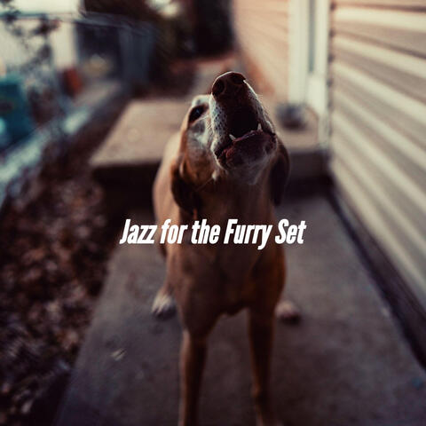 Jazz for the Furry Set