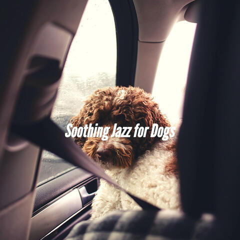 Soothing Jazz for Dogs