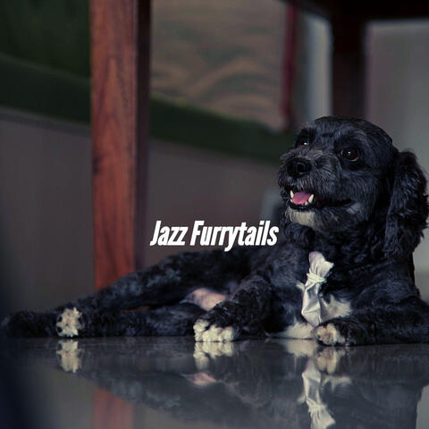 Jazz Furrytails