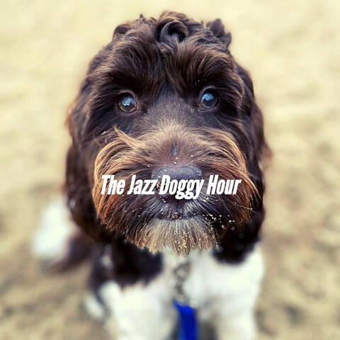 The Jazz Doggy Hour