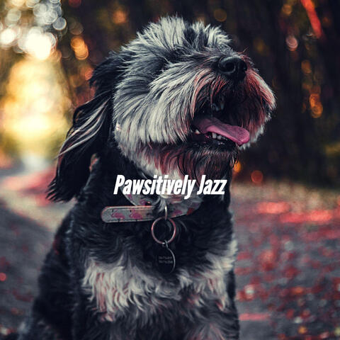 Pawsitively Jazz