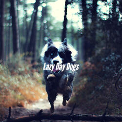 Background for Cool Dog