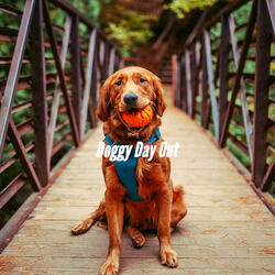 Breathtaking Ambience for De-Stressing Dogs