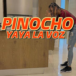 Pinocho