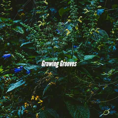 Growing Grooves