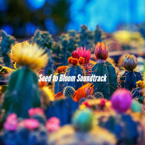 Seed to Bloom Soundtrack