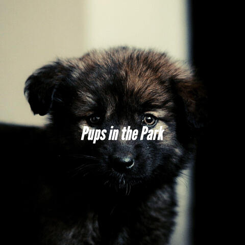 Pups in the Park
