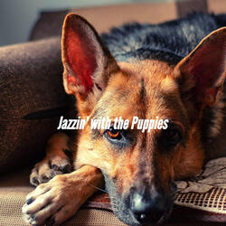 Bubbly Music for Cool Dog