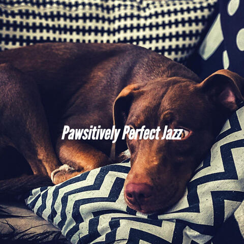 Pawsitively Perfect Jazz