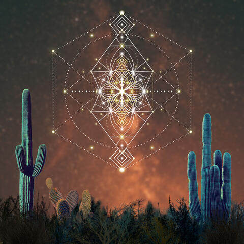 Sueño Desierto en un Camino Estrellado