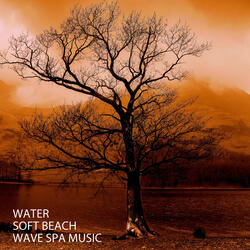 Soul Drowning Ocean Music