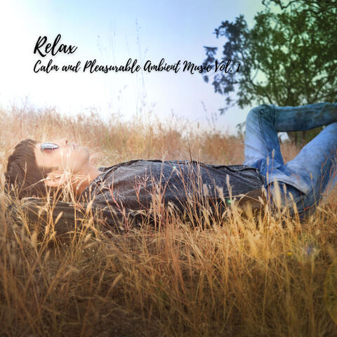 Relax: Calm and Pleasurable Ambient Music Vol. 1