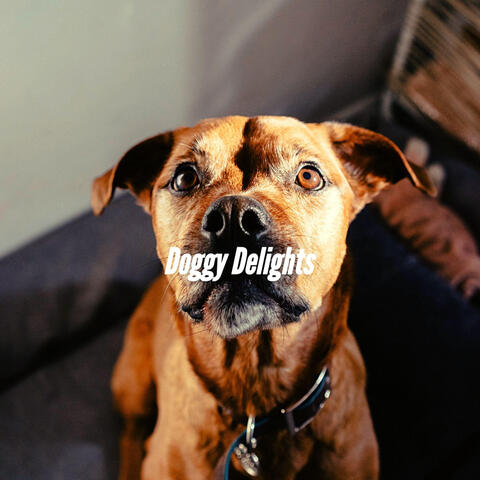 Doggy Delights