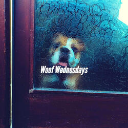 Sprightly Chilling Your Pup