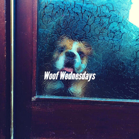 Woof Wednesdays