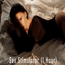 Sex Stimulator (1 Hour)
