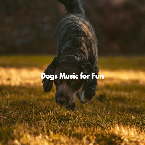 Dogs Music for Fun