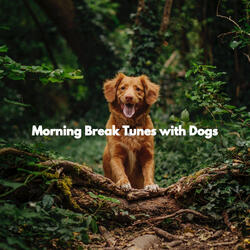 Happy Dogs - Feelings