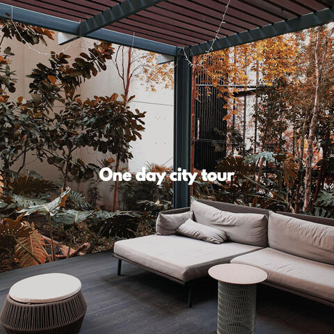 One day city tour