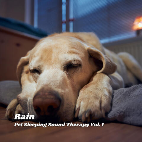 Rain: Pet Sleeping Sound Therapy Vol. 1