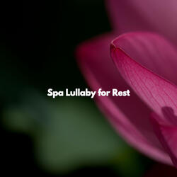 Thrilling Moods for Rejuvenating Spa Days