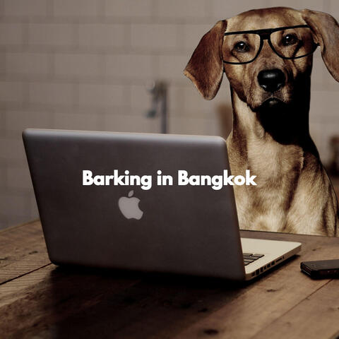Barking in Bangkok
