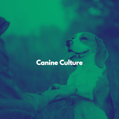 Canine Culture