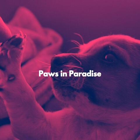Paws in Paradise