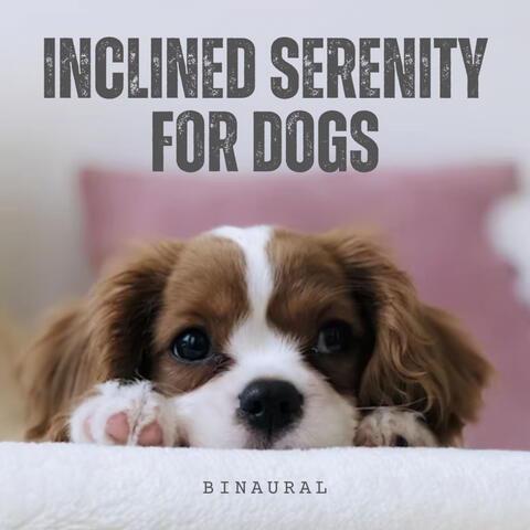 Binaural: Inclined Serenity for Dogs