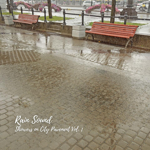 Rain Sound: Showers on City Pavement Vol. 1