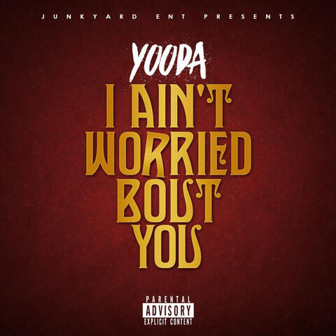 I Ain't Worried 'Bout You