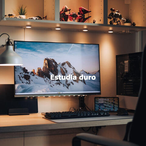 Estudia duro