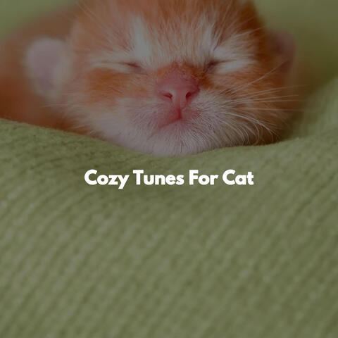 Cozy Tunes For Cat