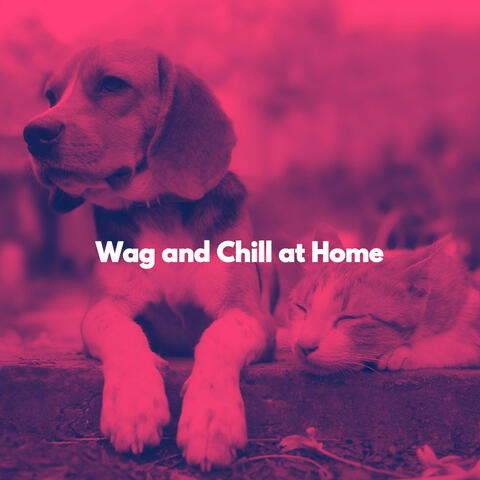 Wag and Chill at Home