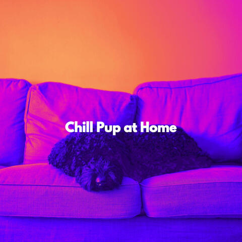 Chill Pup at Home