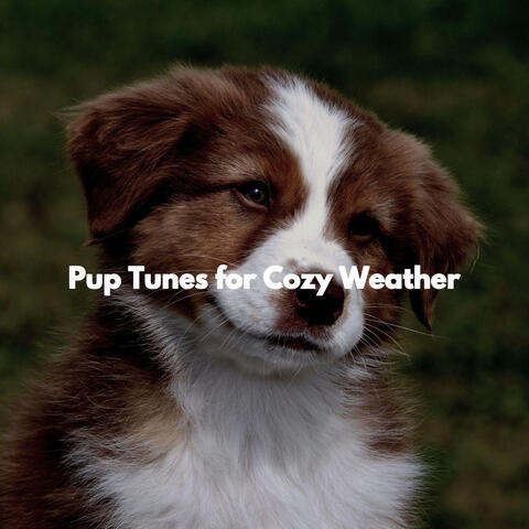Pup Tunes for Cozy Weather