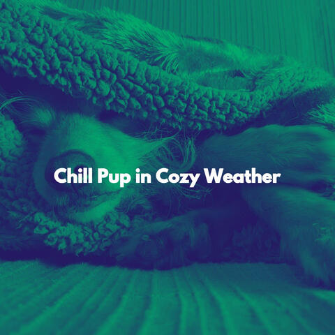 Chill Pup in Cozy Weather