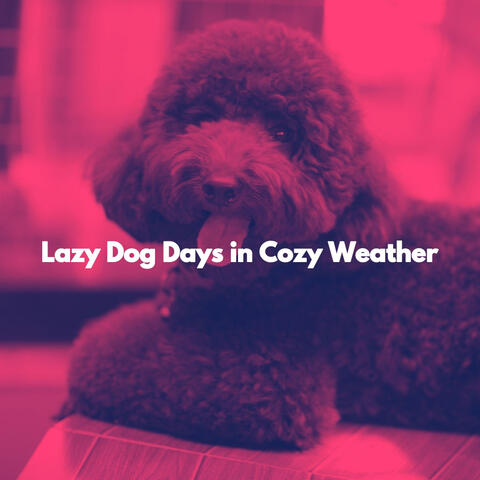 Lazy Dog Days in Cozy Weather