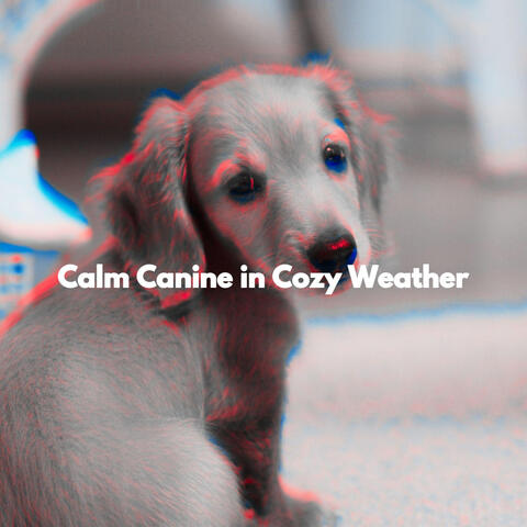 Calm Canine in Cozy Weather