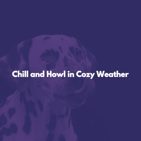 Chill and Howl in Cozy Weather